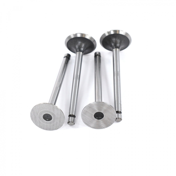 Комплект впускных клапанов двигателя